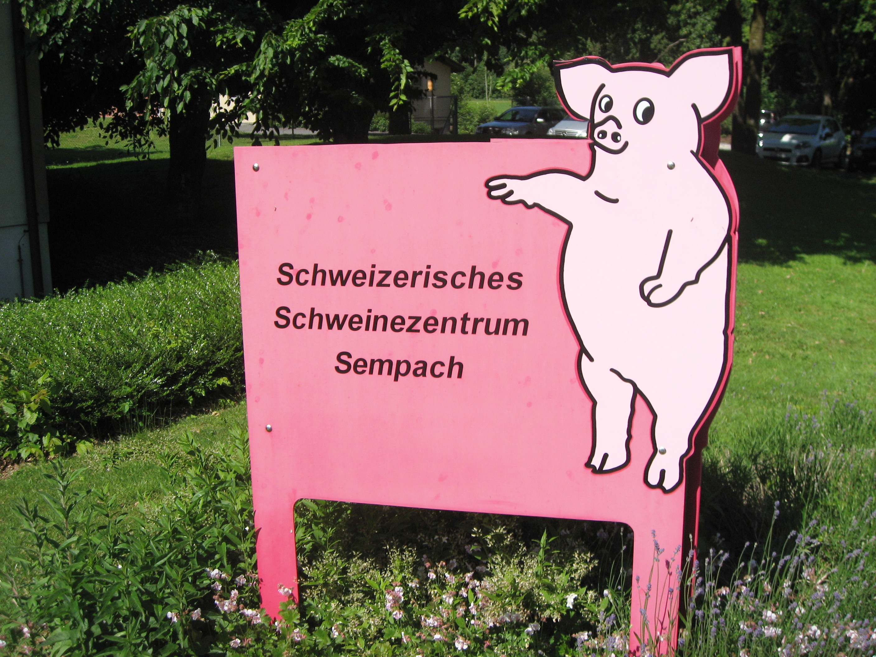 was es nicht alles gibt in der Schweiz!